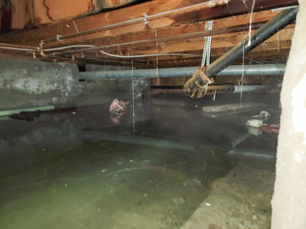 Water damage restoration experts in KS