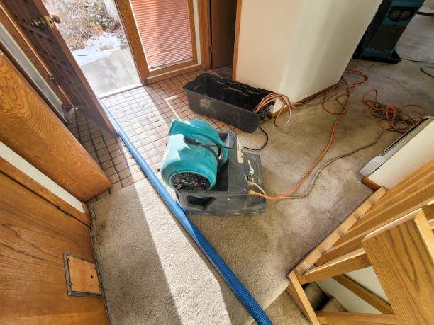 Best Water damage cleanup near me  in Hill City, KS