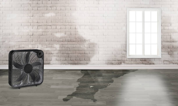 Best Ceiling water damage repair  in Hill City, KS