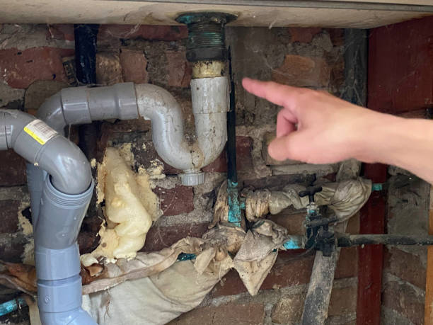 Best Flood damage cleanup  in Hill City, KS