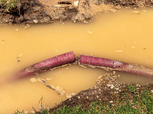 Best Water damage cleanup near me  in Hill City, KS